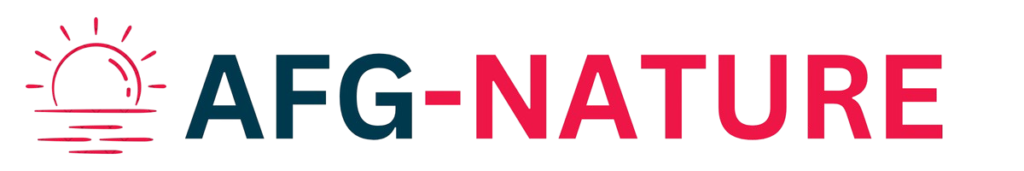 1 removebg preview (2)